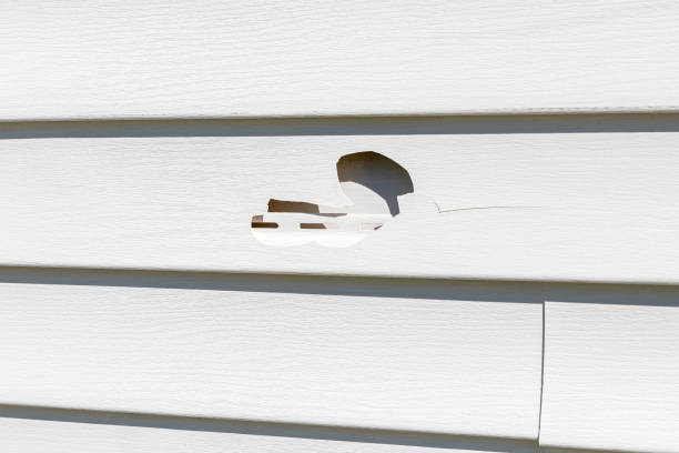 Best Moving and Downsizing Cleanouts  in Fort Belknap Agency, MT