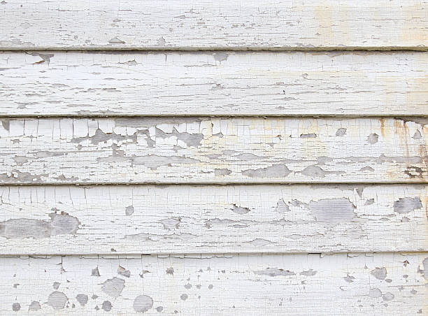 Best Construction Debris Removal  in Fort Belknap Agency, MT
